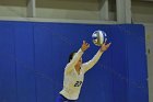 Wheaton Women's Volleyball  Wheaton Women's Volleyball vs Bridgewater State University. : Wheaton, Volleyball, BSU, Bridgewater State College